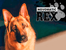 Новый увлекательный игровой аппарат Rex от Novomatic